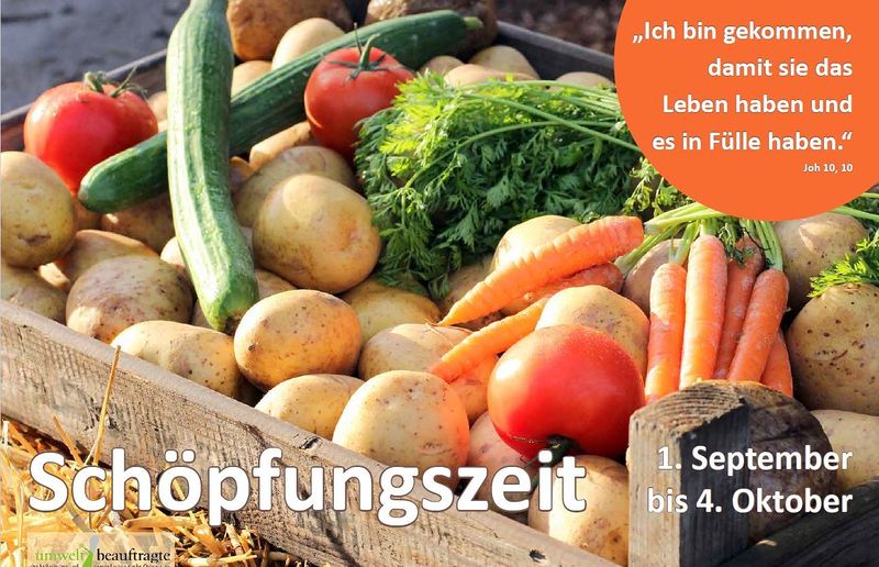 www.schoepfung.at
