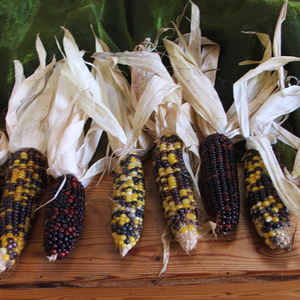 Erntedank in Peggau